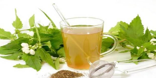 bylinná tinktura proti parazitům