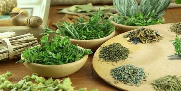 hřebíček proti parazitům v těle